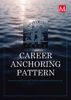 Picture of Career Anchoring Pattern
