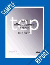 Picture of Team Effectiveness Profile - TEAM Online Sample Report
